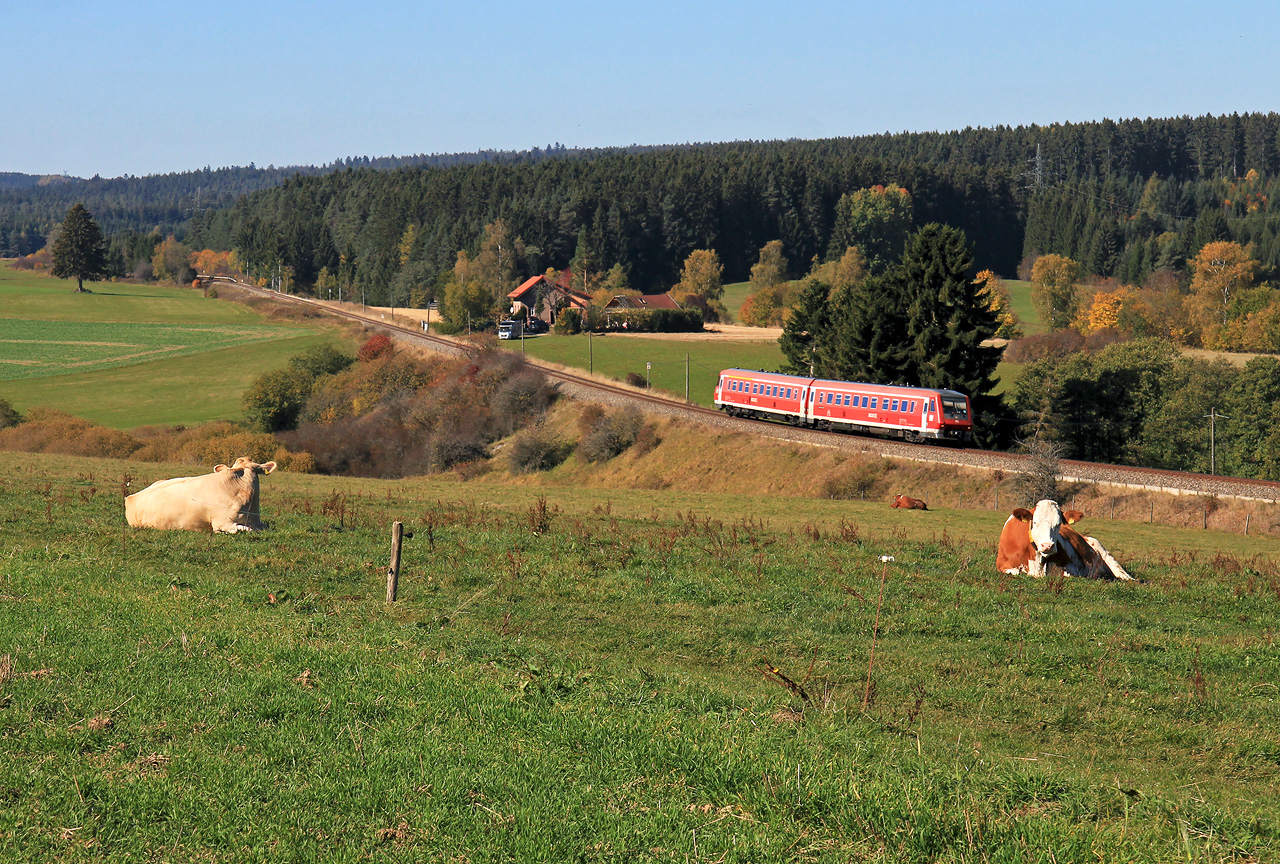 http://badische-schwarzwaldbahn.de/DSO/B325.jpg