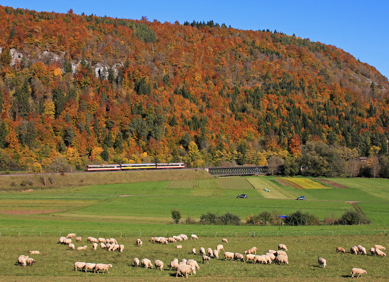 http://badische-schwarzwaldbahn.de/DSO/B330.jpg